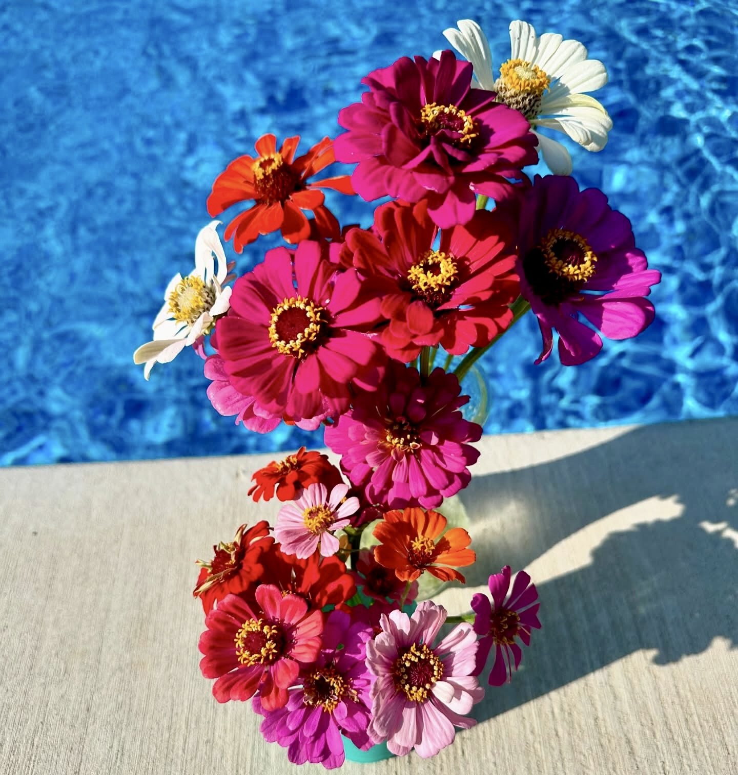 Plant 3